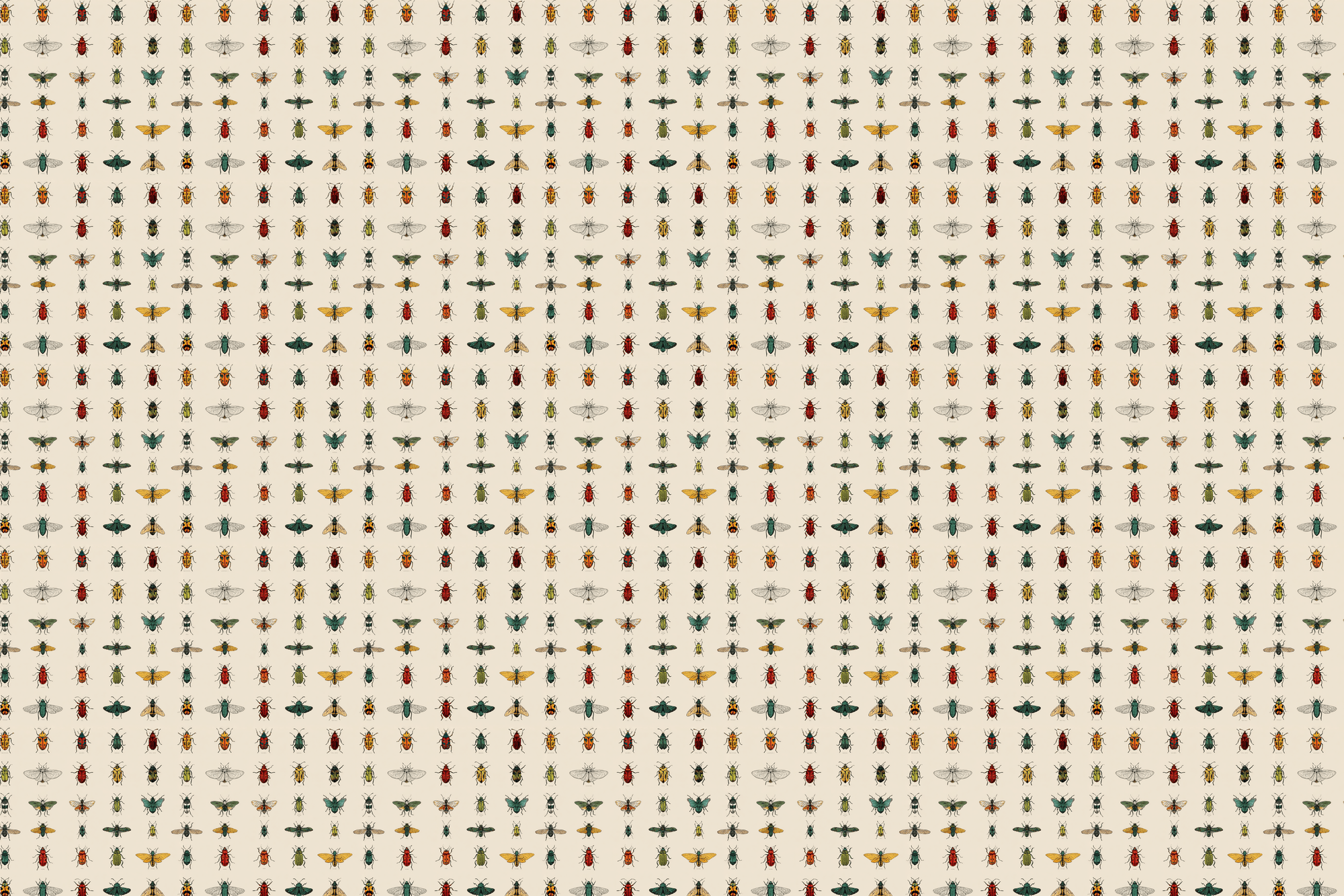 Beautiful Bugs: Insect Wrapping Paper