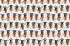 Watercolor graduation pattern featuring black caps, long brown hair, and pink watercolor roses.