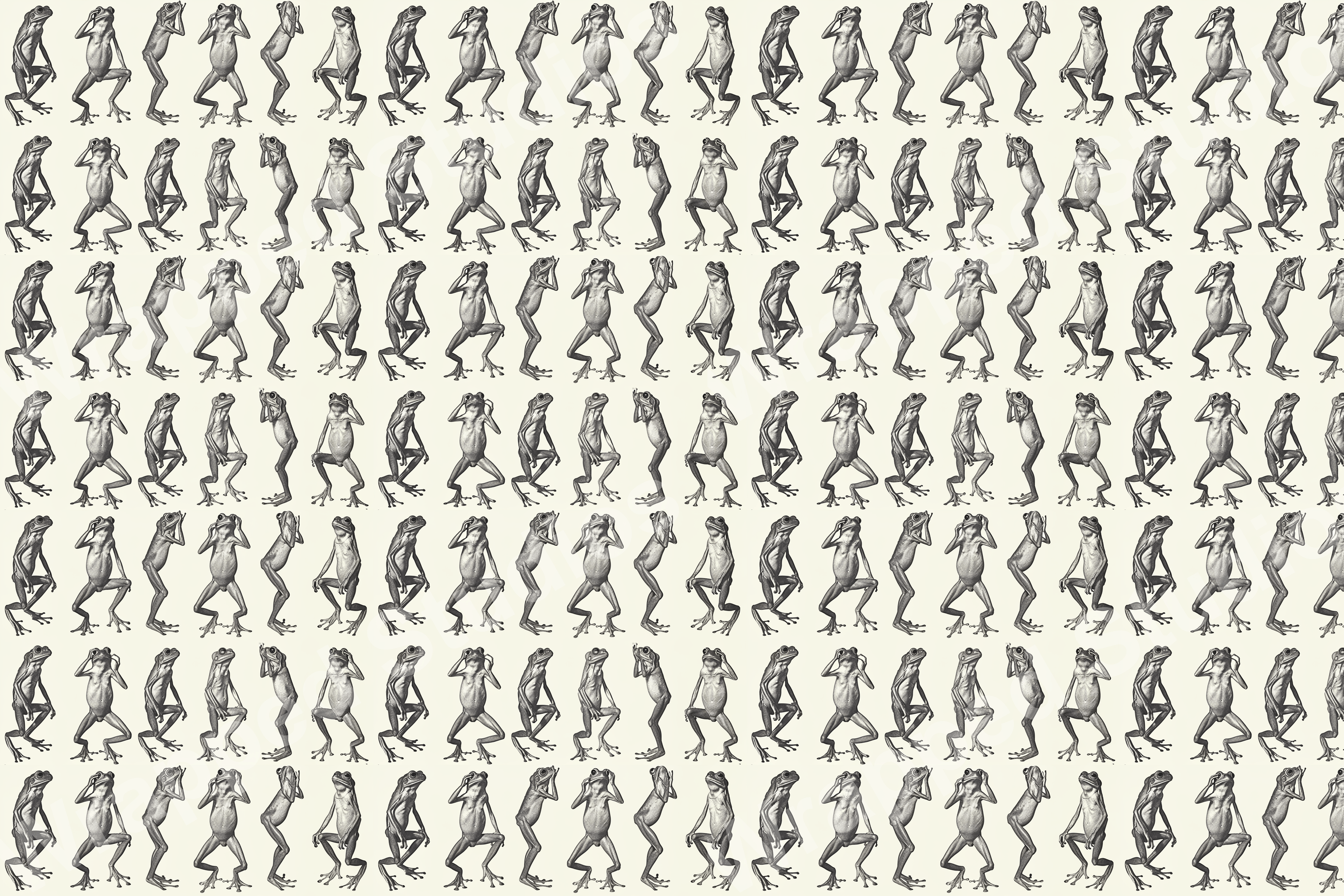 Monochrome vintage illustration pattern with repeating frog motifs in different poses.