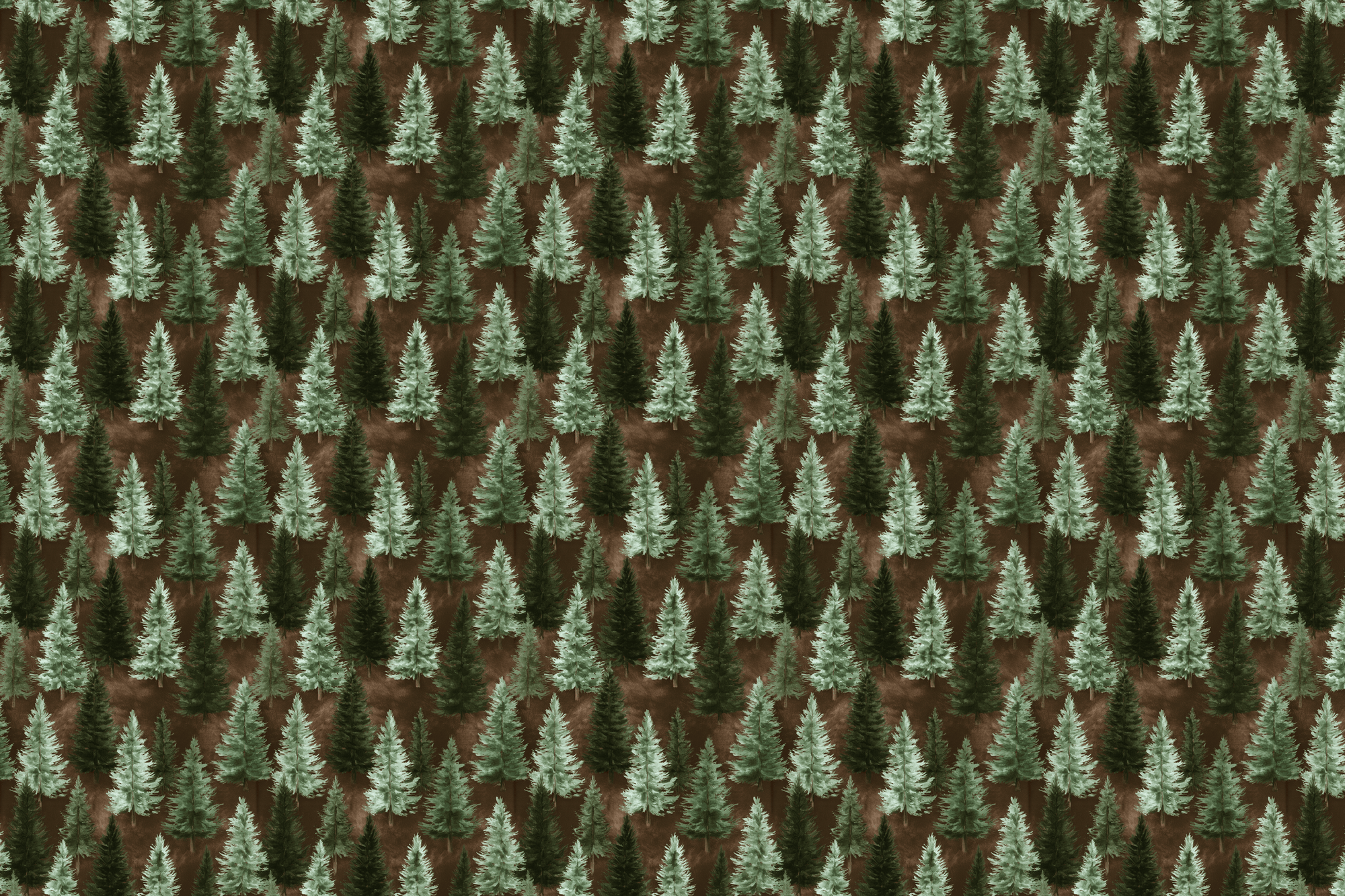 Sage Woodland: Rustic Pine Wrapping Paper
