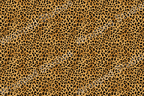 Seamless leopard print pattern with black spots on a golden tan background.