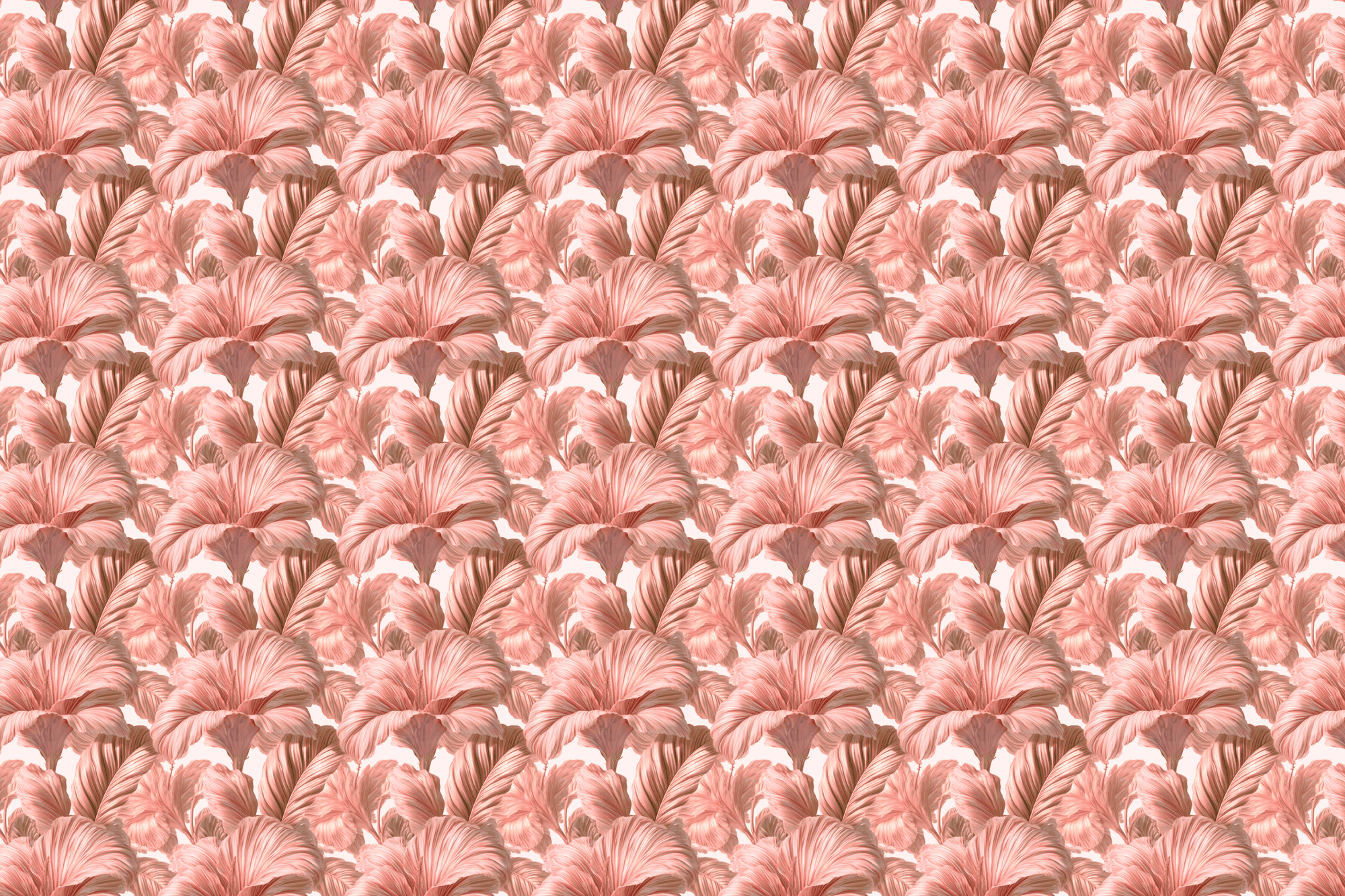 Blushing Behemoth: Peach Floral Gift Wrap