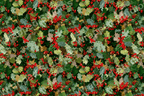 Classic holiday pattern of holly leaves and bright red berries on a green background.