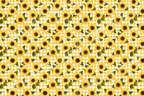 Rustic sunflower floral pattern on a yellow and white gingham check background.