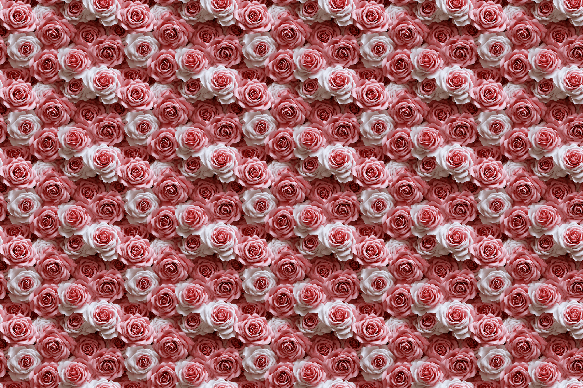 Delirious Romance: Pink Rose Floral Wrapping Paper