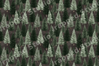 Watercolor pine forest pattern with sage and dark green evergreens on a moody dark background.