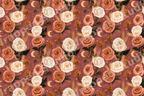 Boho floral pattern with terracotta roses, pampas grass, and golden crescent moons on a dusty rose background.