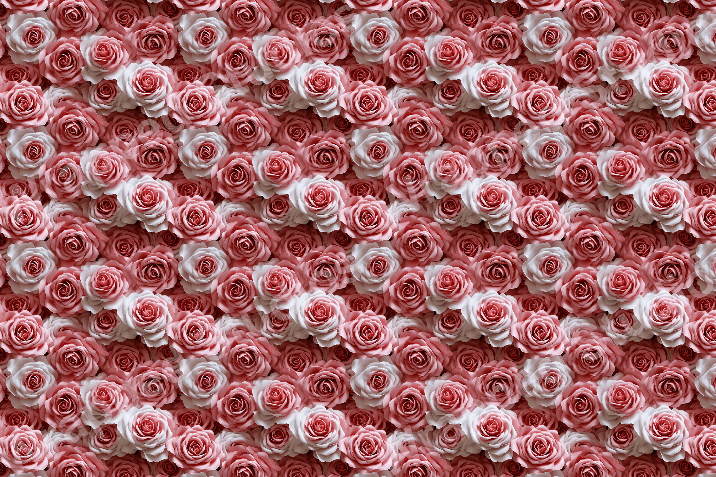 Dense floral pattern of soft pink and white roses, an elegant and romantic design.