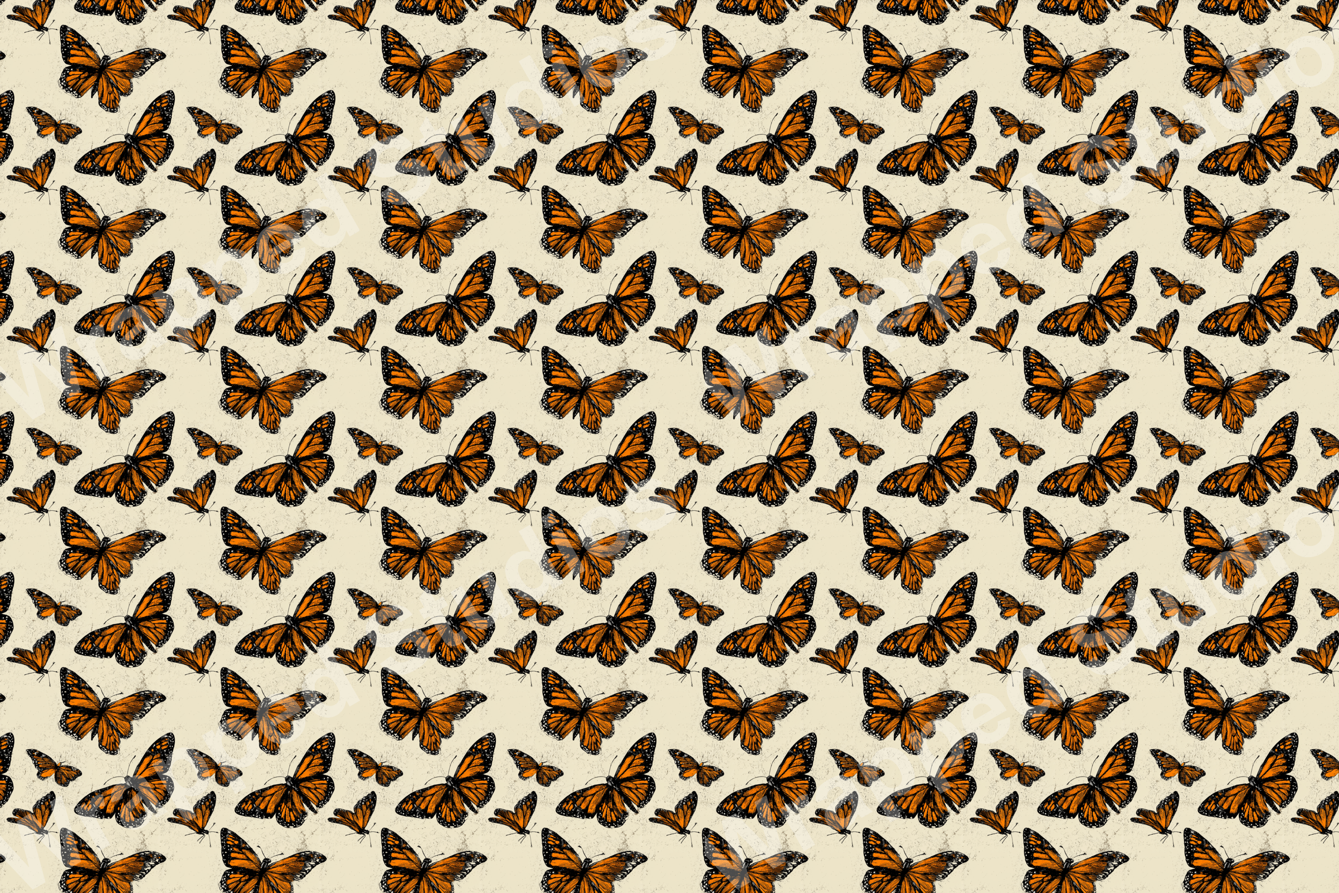 Monarch butterfly pattern with sketched details in orange and black on a cream background.