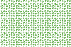 Delicate green clover botanical pattern on a white background.