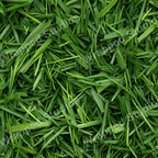 An allover grass pattern in shades of fresh green creates a textural, botanical print.