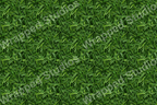 All-over green botanical pattern featuring stylized, overlapping blades of grass.