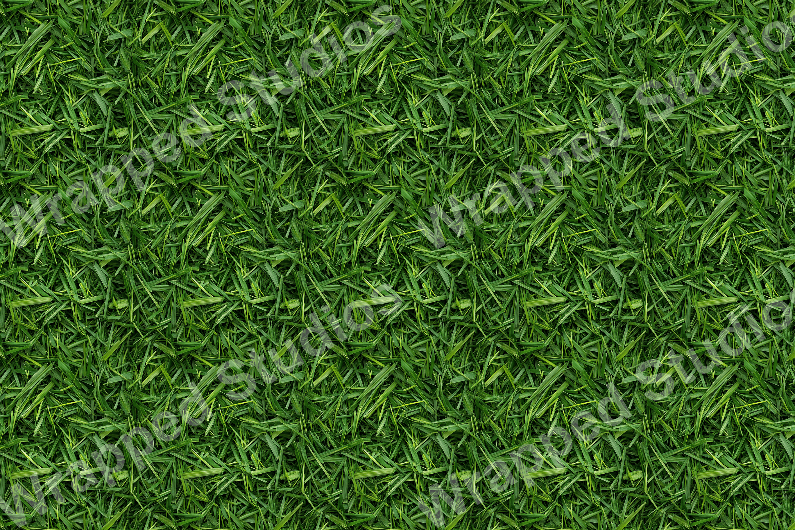 All-over green botanical pattern featuring stylized, overlapping blades of grass.