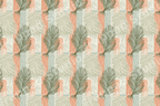 Boho feather pattern with sage green and peach textured stripes in a vintage botanical design.