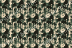 Vintage forest pattern featuring distressed watercolor pine tree silhouettes in dark green and cream.