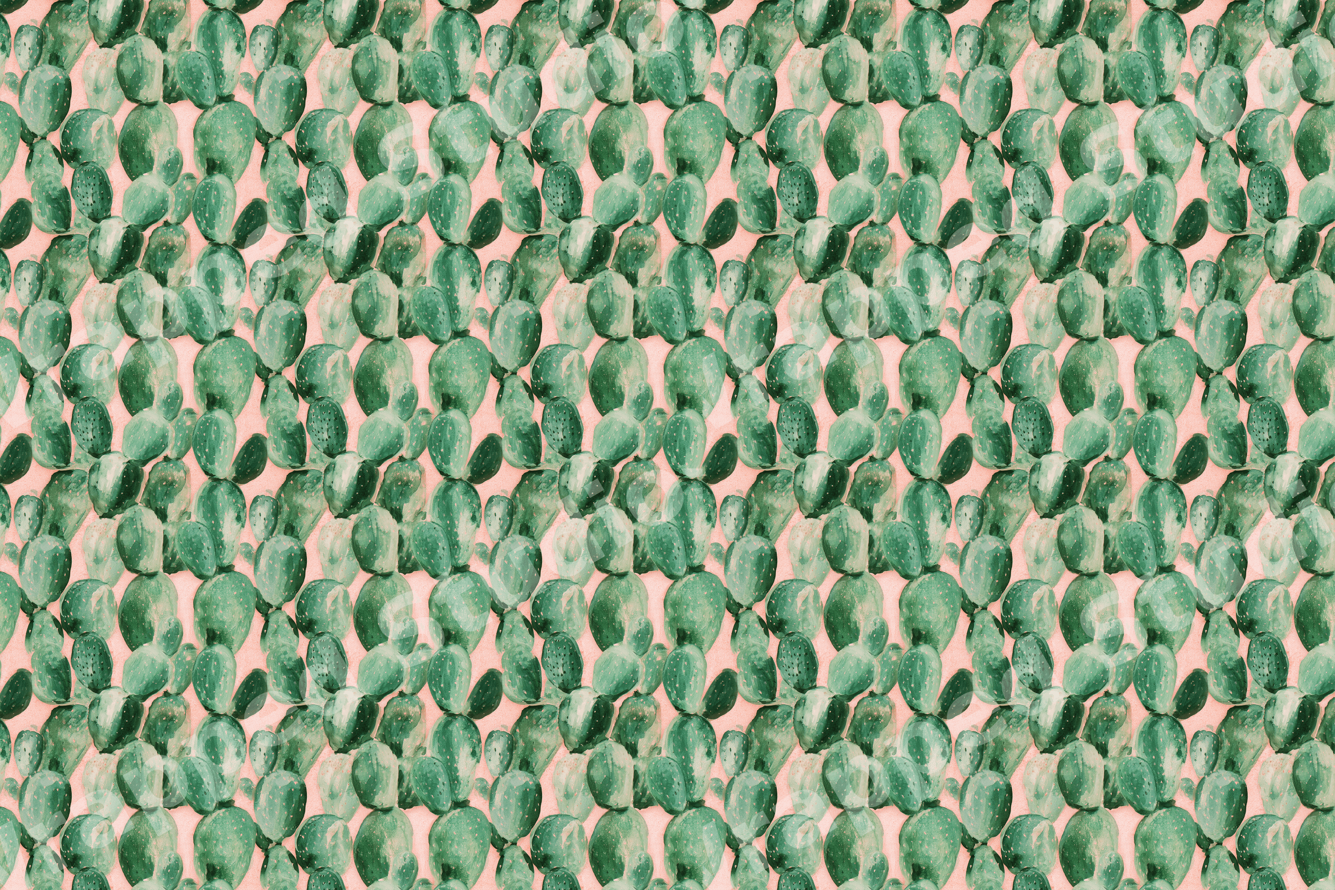 Watercolor cactus pattern with green prickly pear cacti on a soft blush pink background.