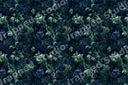 Elegant vintage botanical floral pattern featuring navy blue and sage green blossoms on a dark background.