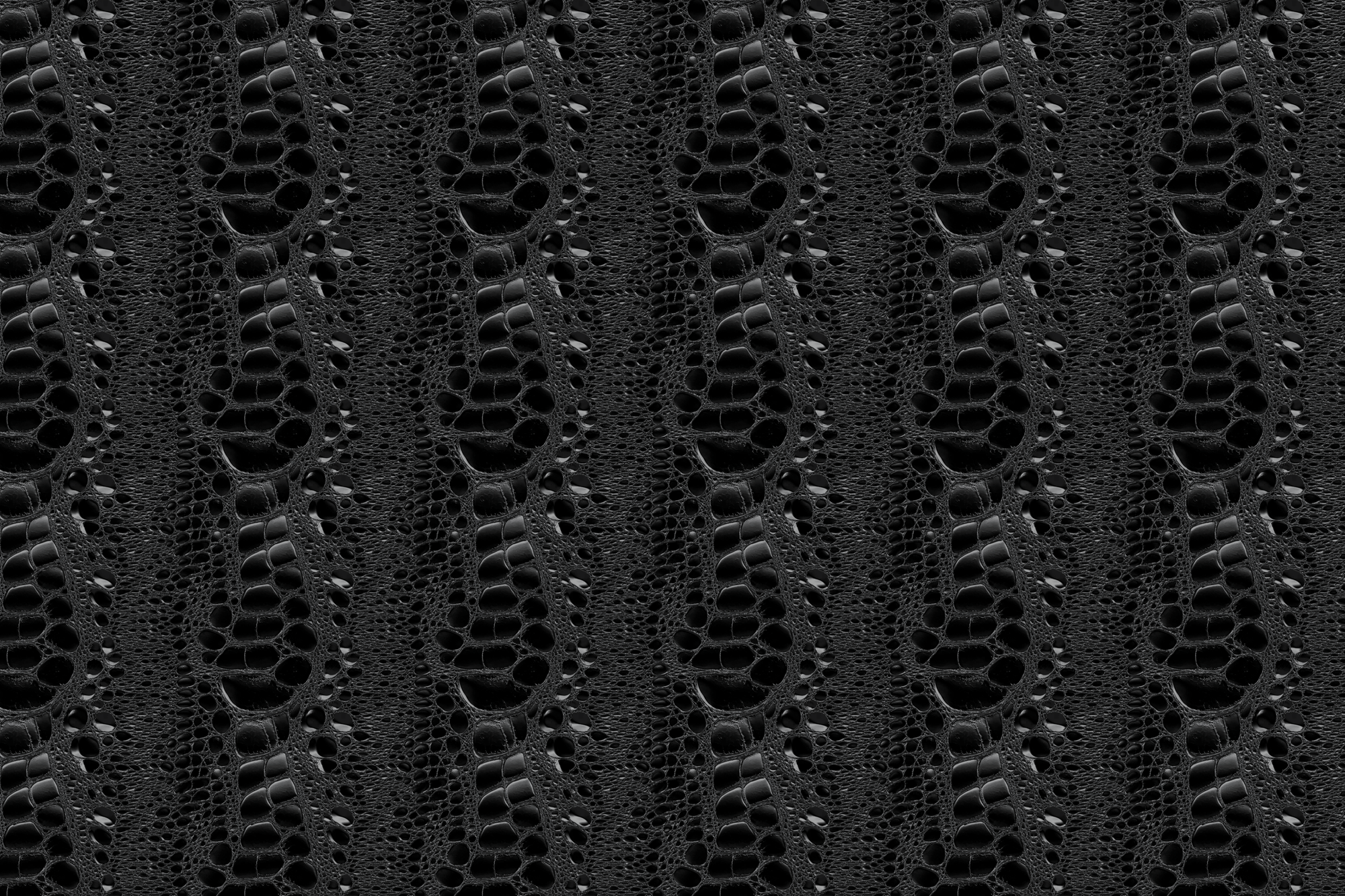 Black Alligator: Croc Wrapping Paper