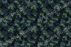 Navy and green space pattern with bright starbursts and scattered dots.