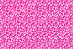 All-over floral pattern with small white blossoms and leaves on a bright pink background.
