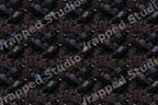 Gothic seamless pattern featuring black ravens and crows among dark purple vintage botanical branches.