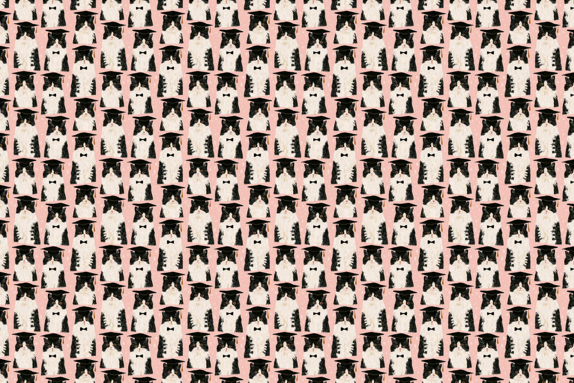 Diploma Claws: Graduation Cat Wrapping Paper
