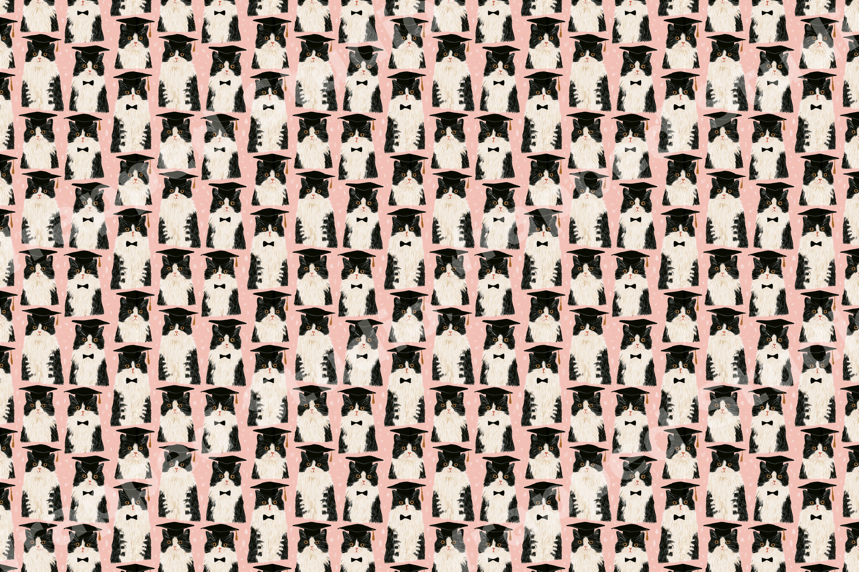 Playful graduation cat pattern with black and white tuxedo cats wearing mortarboards on a light pink background.