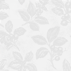 Elegant vintage botanical pattern with light gray sketches of berry branches on a soft white background.