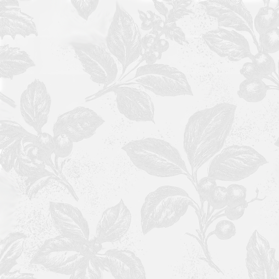 Elegant vintage botanical pattern with light gray sketches of berry branches on a soft white background.