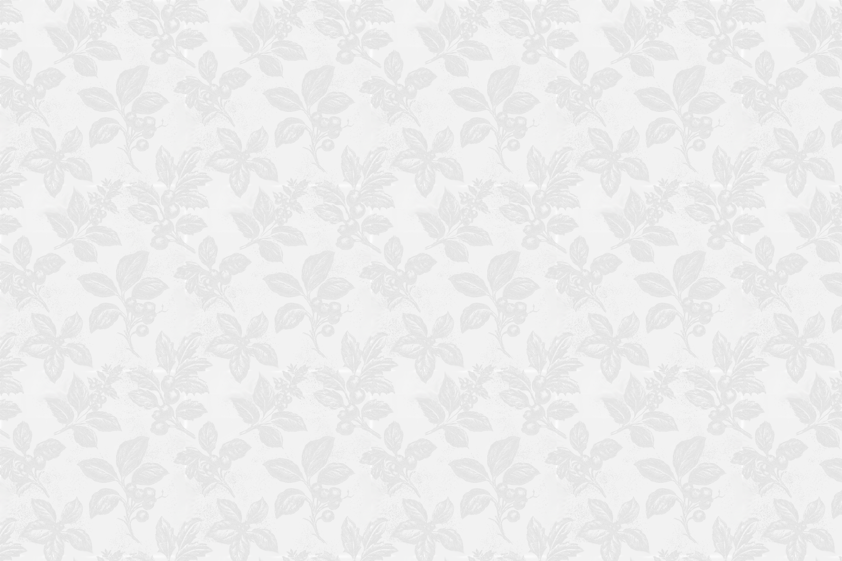 Minimalist vintage botanical pattern featuring subtle light gray leaves and berries on a soft white background.