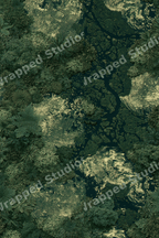 Lush emerald green aerial jungle pattern featuring tropical forest foliage and textured gold details.