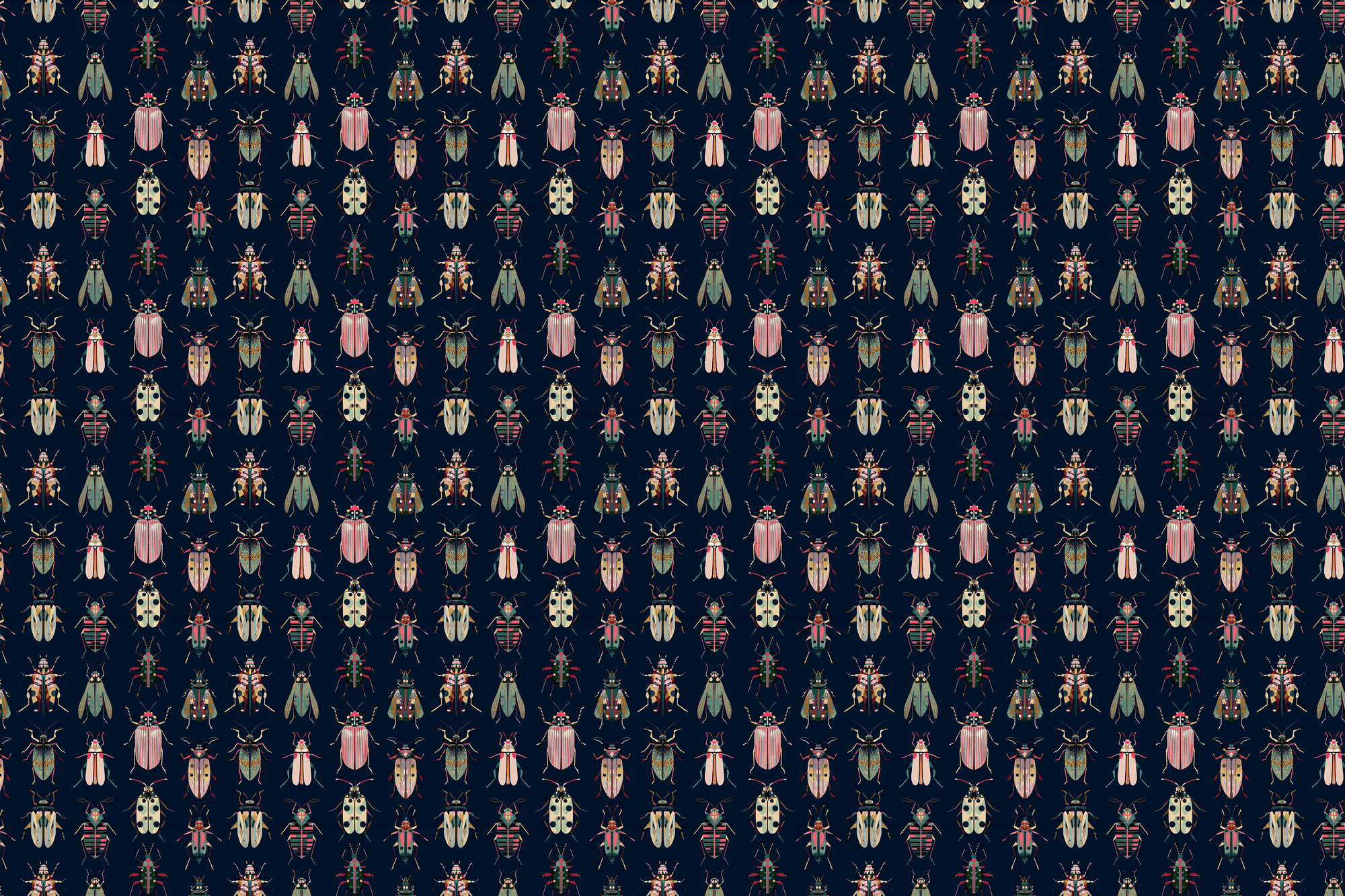 Bold Bug Bliss: Insect Wrapping Paper