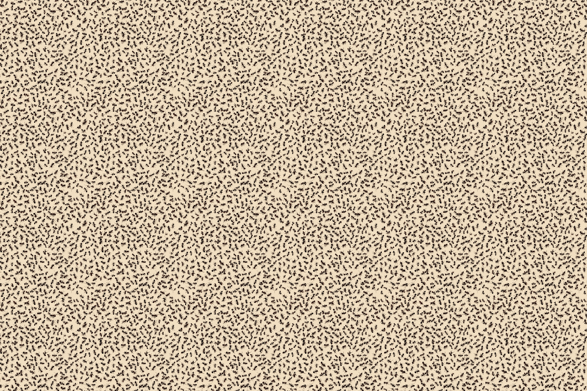 Antsy Assembly: Insect Gift Wrap