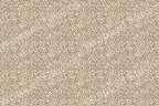Seamless pattern of tiny black ants scattered on a pale beige background.