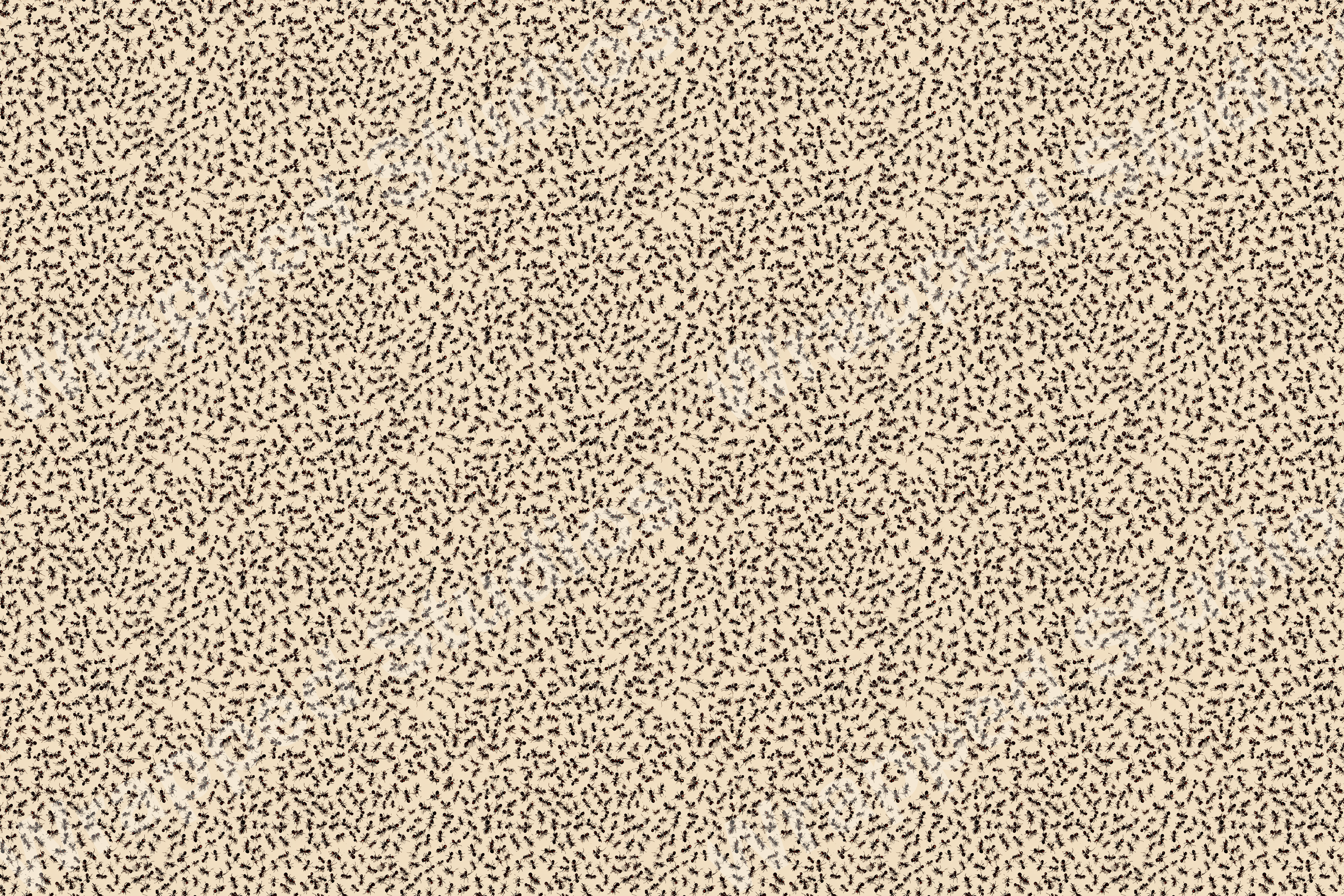 Seamless pattern of tiny black ants scattered on a pale beige background.