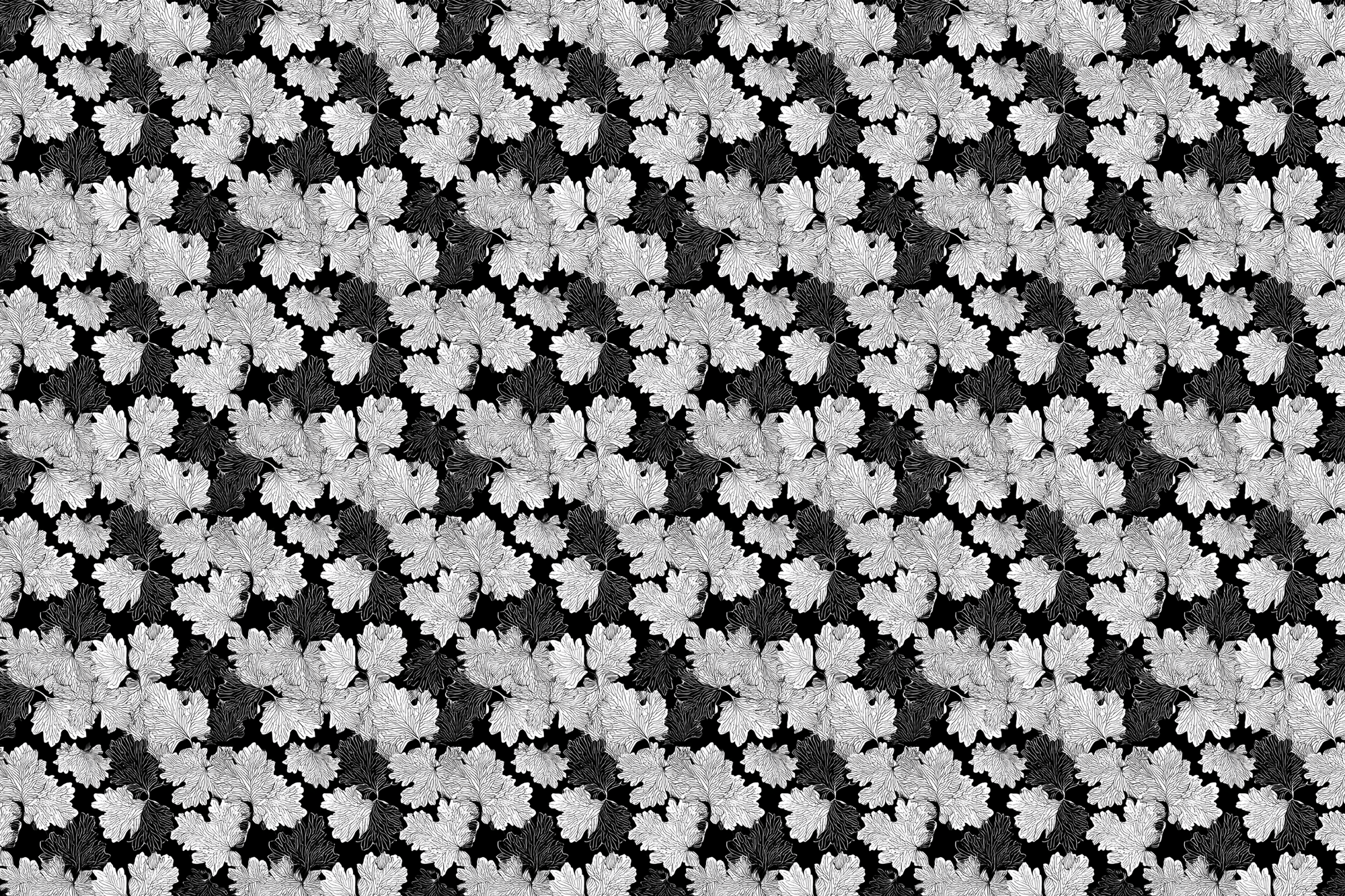 Modern Monochrome: Luxury Gift Wrap