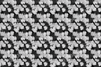 Monochrome botanical pattern of stylized geranium leaves in black and white.