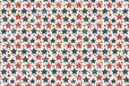 Seamless Pattern View