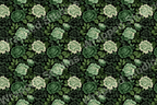 Elegant floral pattern with green, cream and dark green peony blossoms on a black background.