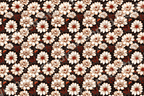 Elegant vintage botanical floral pattern featuring cream daisies and red berries on a dark background.