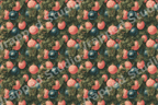 Vintage Christmas pattern with pink and blue ornaments nestled in botanical pine branches.