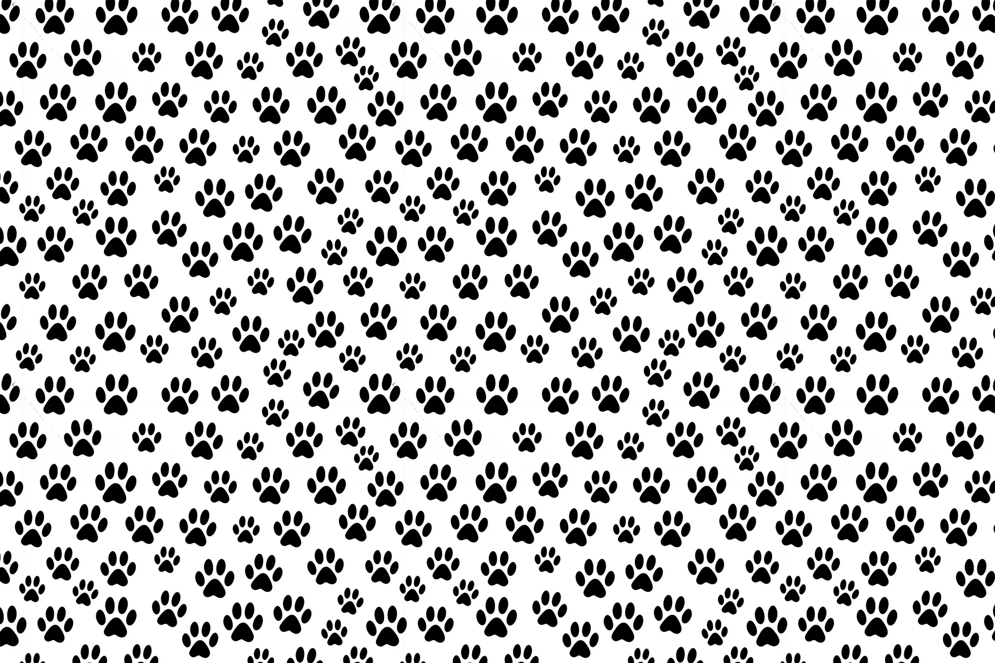 Just Paws: Black Paw Print Gift Wrap
