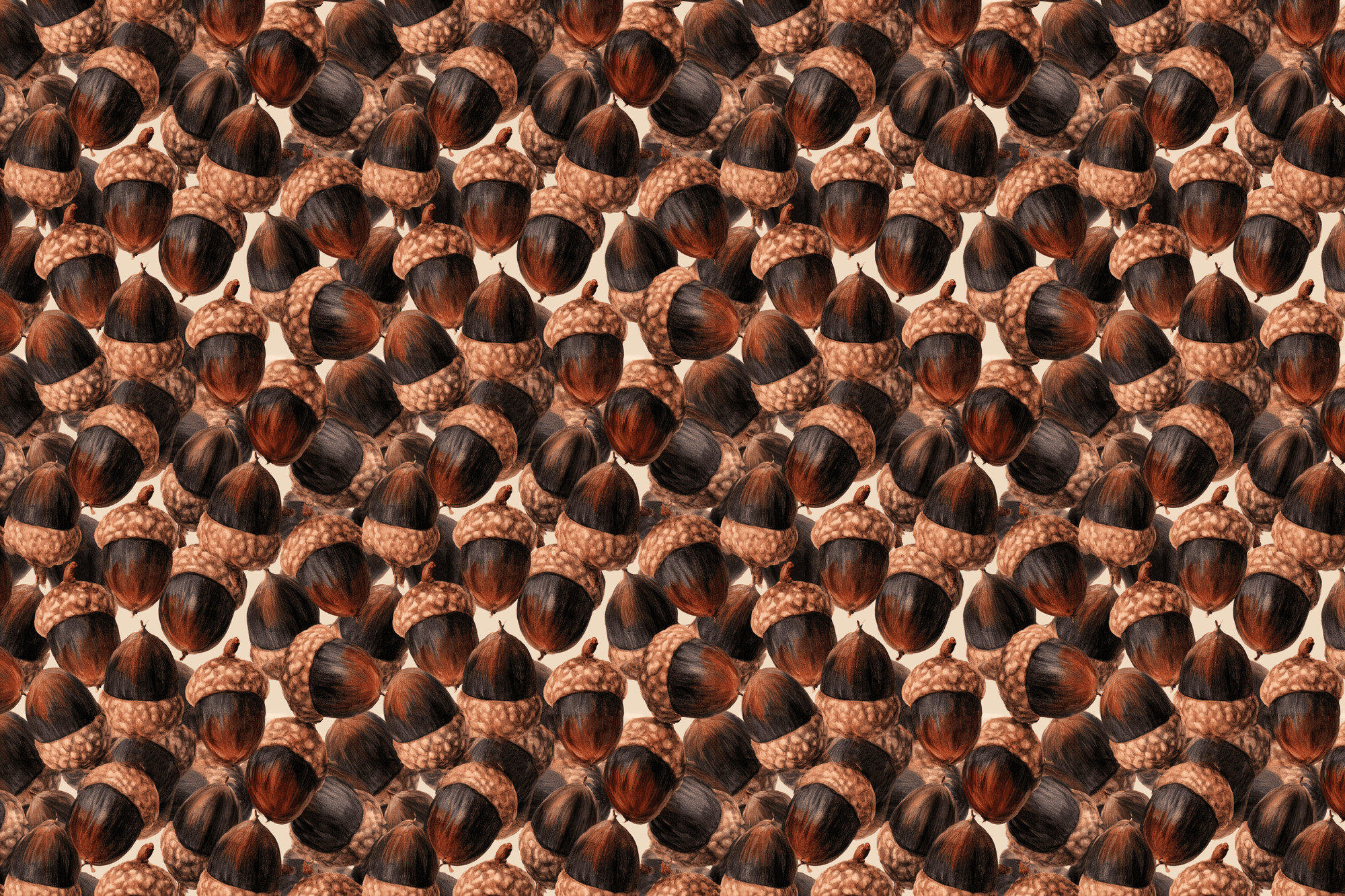 Autumn Abundance: Rustic Acorn Wrapping Paper
