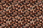 Seamless autumn acorn pattern featuring rustic hand-drawn brown acorns in a vintage botanical design.