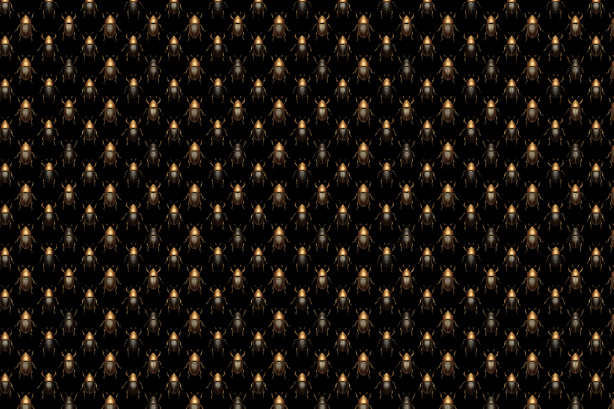 Black Beetle: Insect Wrapping Paper