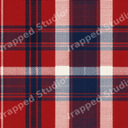 Classic tartan plaid pattern in red, navy blue, and white with a rustic woven fabric texture.