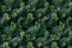 Lush evergreen botanical pattern featuring vibrant pine and fir branches in forest green and blue-green hues.