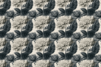 Vintage botanical floral pattern with detailed black dahlia flowers and leaves on a cream background.