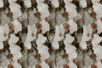 Distressed grunge abstract pattern with earthy watercolor textures in rust red, charcoal, and beige.