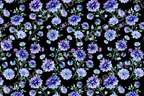 Modern dark floral pattern featuring vibrant blue and purple flowers on a black background.
